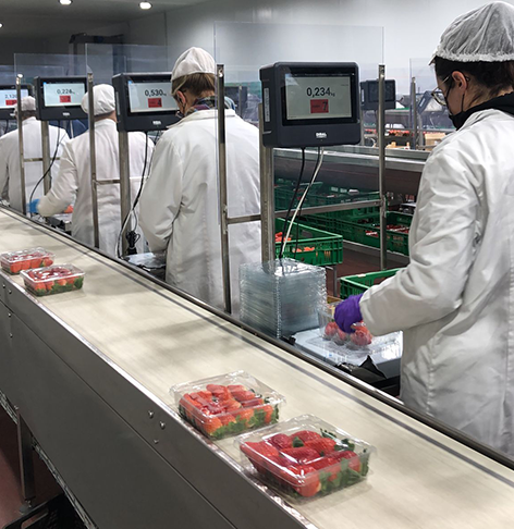 DIBAL launches a Productivity Control Solution in the workplace for the food industry