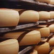 Cheese industry